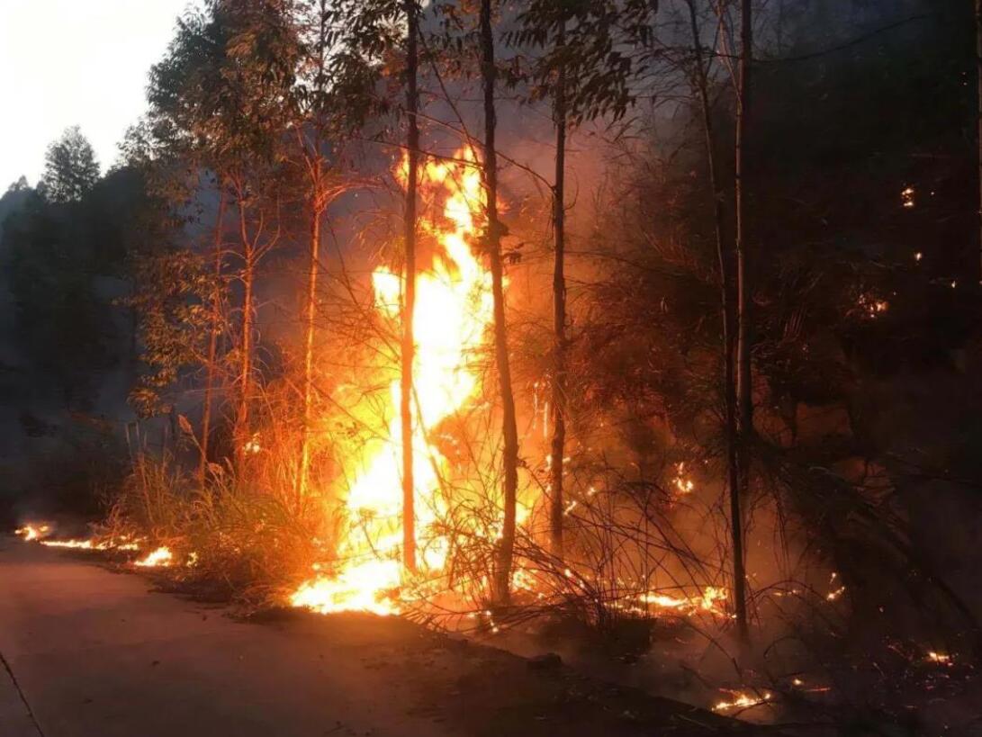 莆田市突发森林火灾，森林消防紧急出动扑救